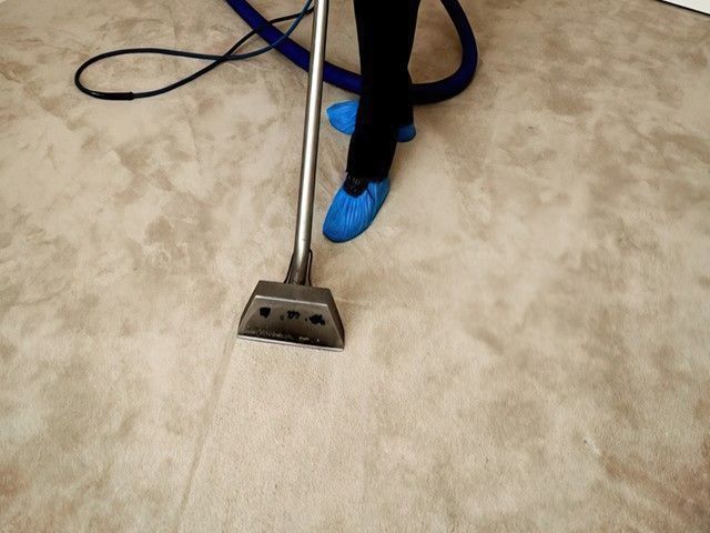 Carpet Cleaners