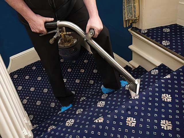 Carpet Cleaners in Windermere